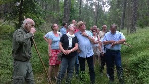 Revierförster Jörg Sprößig erklärt die naturnahe Waldwirtschaft im NSG Stechlin