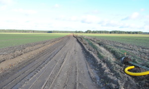 Der Weg in die Heide führt in weiten Teilen noch über kahlen Acker.