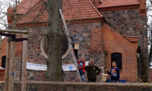 Die fertigen Kästen wurden in den Linden rund um die Menzer Kirche aufgehangen. © Naturwacht SRL