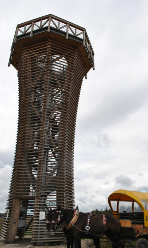 Ziel der Kremserfahrt war der Heideturm auf dem Sielmann-Hügel © Dr. Mario Schrumpf