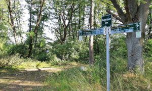 Neue Beschilderung um den Katerbower See © Olaf Wolff