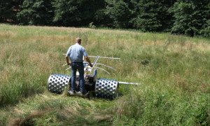 Mit Leichtigkeit, wenig Bodendruck und beeidruckender Schnittleistung in die Hochstaudenflur © Heiko Strobel