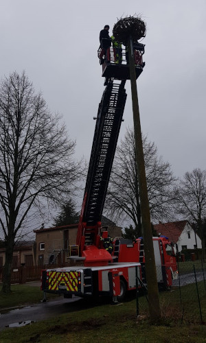 Die Nistunterlage wird mit Hilfe der Feuerwehr montiert. © Naturwacht SRL