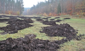 Das organische Material wurde auf umliegende Ackerflächen aufgebracht.