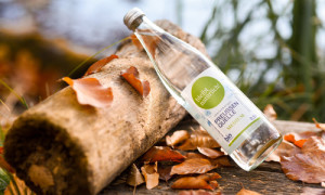 NP SRL/Preussenquelle