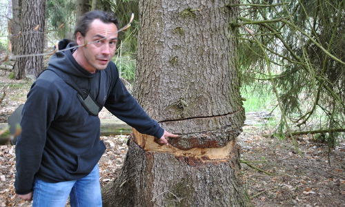 Bereisung im EULifeProjekt Feuchtwälder Naturpark