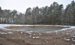 Das revitalisierte Kleingewässer nach Abschluss der Baggerarbeiten. © Foto: Dr. Mario Schrumpf