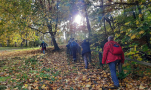 Sonnenschein und Herbstfarben entlang des Wanderweges © Olaf Wolff