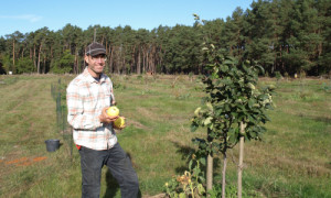 Obstgehölze hinter dem Hof von Marc Marquardt, hier ein Quittenbaum, dessen Früchte er auch inseiner Mosterei verarbeitet. © Foto: Heiko Strobel