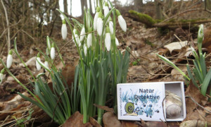 © NaturParkHaus Stechlin