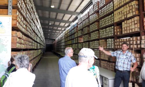 Geologische Landessammlung