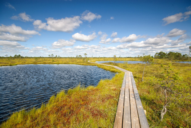 Copyright: Michael Dieke