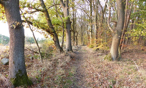 Wanderweg bei Kritzow