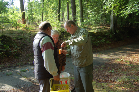 Pilzführung Pilzführung