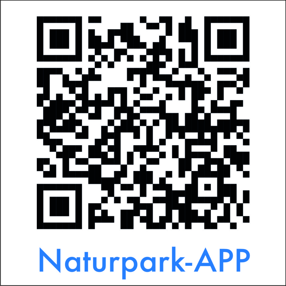 QR_Code_App