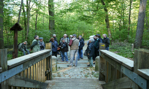 Vogelstimmenwanderung Copyright: Naturpark Sternberger Seenland
