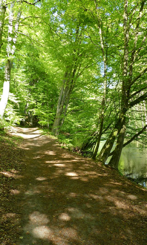 Wanderung Warnow-Mildenitz-Durchbruchstal - Naturpark Sternberger Seenland