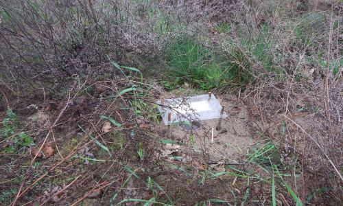 Barberfalle für Spinnenmonitoring