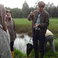 FFHManagementplan für das Thüringer Land der Tausend Teiche