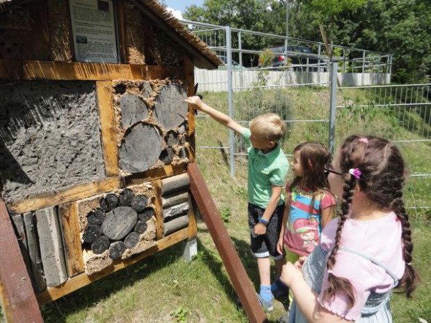 Insektenhotel_Schule Leutenberg_BA Doris Ziermann