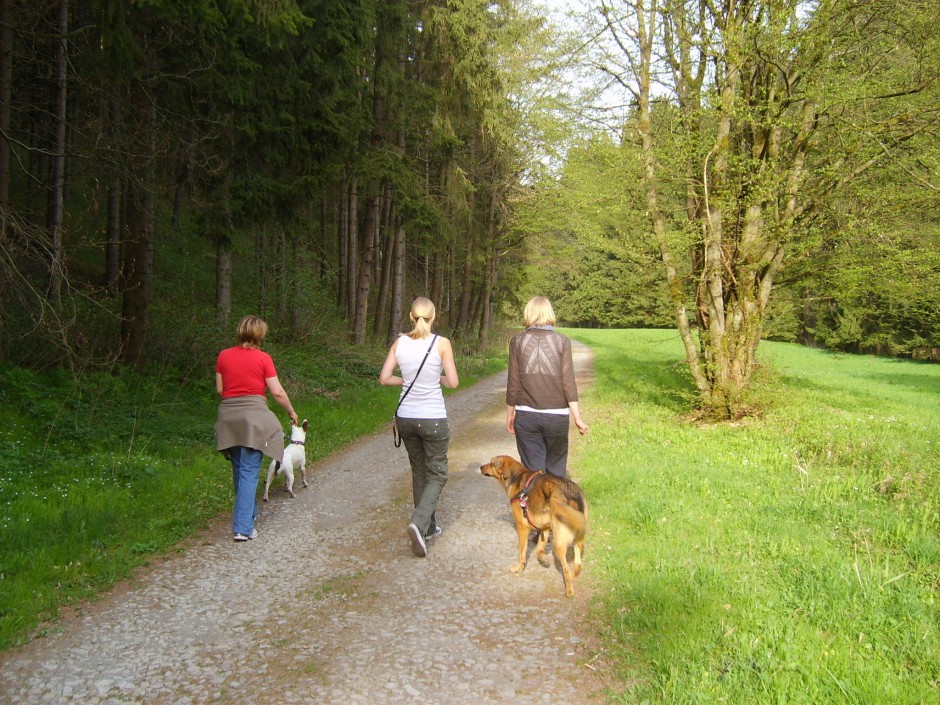 Eine Wanderung im Naturpark hat zu jeder Jahreszeit ihren Reiz_BA Beate Graumann