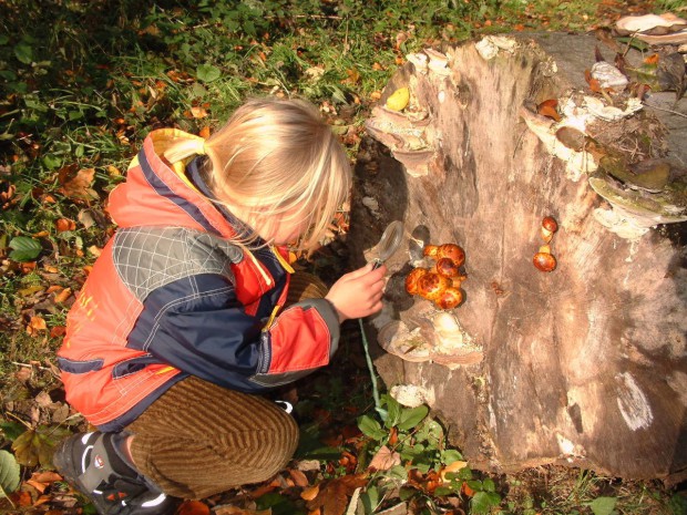 Schatzsuche in der Natur