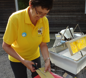 Naturführerin Marion Zapf ist Imkerin und gibt Infos über die Arbeit der Honigbienen, die für die Kirschen und anderes Obst wichtig sind. BA Beate Graumann