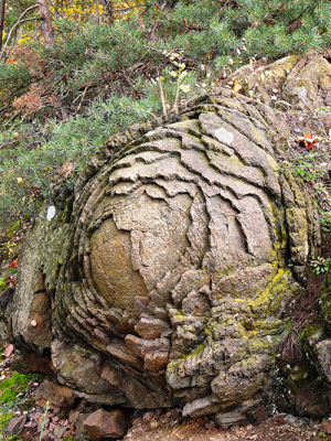 Diabas // Steinerne Rose bei Saalburg // Susen Reuter