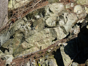 Diabas // Felsen bei der Heinrichshütte in Wurzbach // Mario Baum