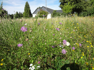 Dorfgarten Gahma / BA Kristin Pfeiffer-Geheeb