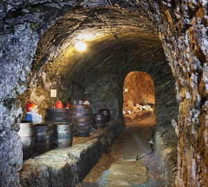 Markt-Höhler, Bad Lobenstein // Wikipedia // Autor: Stollnfex