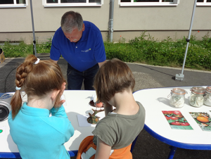 Vogelstimmen-Raten am Stand des Naturparks zum Schulfest, BA Dirk Hofmann