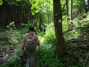Wanderung auf dem Bienenpfad, BA Beate Graumann