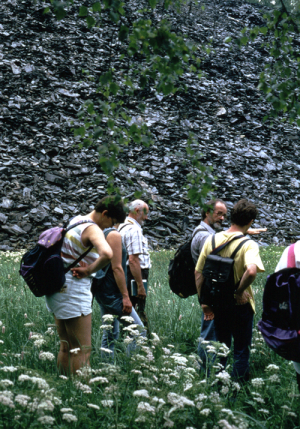 Wandergruppe im Oertelsbruch, BA Beate Graumann