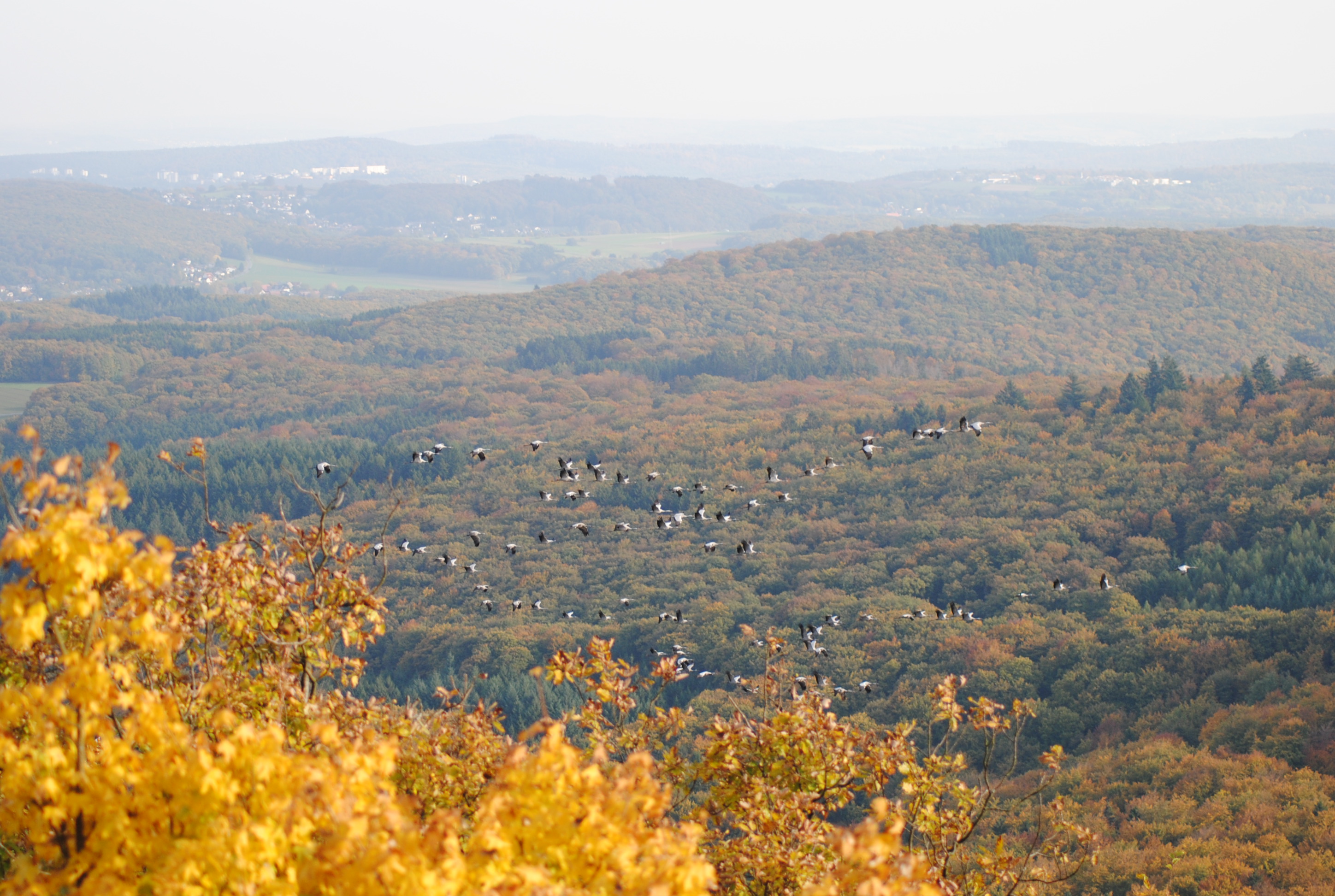 2013-10-19-15.20.12
