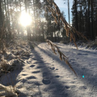 Einladung zur Winterwanderung 2024
