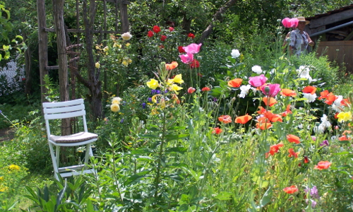 Bauerngarten © VDN / Schmucker