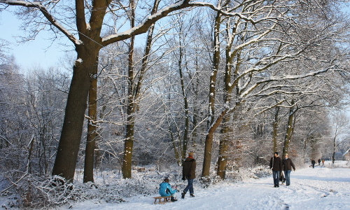 Winterspaziergang am Waldesrand © VDN-Fotoportal / Heinz Eßer
