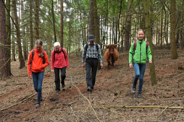 Menschen im Herbstwald unterwegs im Rahmen des Naturschutzgroßprojektes Senne. © Naturpark/F. Grawe
