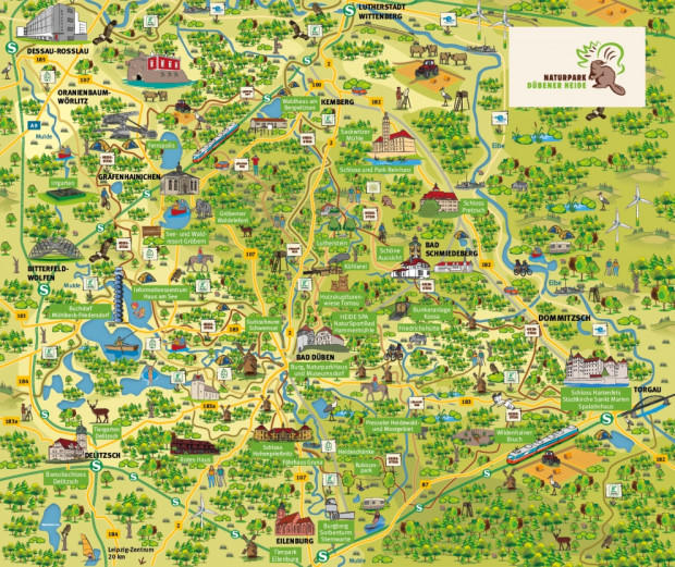 Der Naturpark Dübener Heide