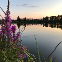 Die Peene: Natur pur