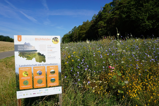 Biogas-Wertschöpfungskette 