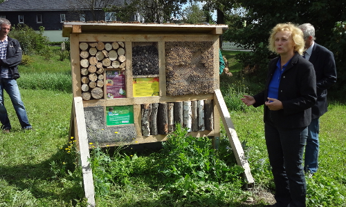 DSC04946 beitrag Thü DSC04946 beitrag Thü „Dufte Bienen“ – Bienenschutz in Naturparken