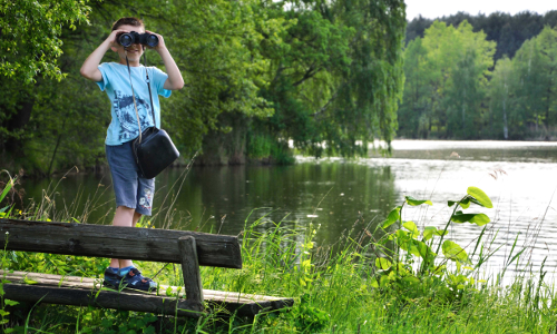 Die kleine Elster entdecken Die kleine Elster entdecken