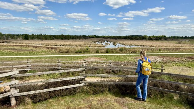 Wanderin mit dem Rücken zum Betrachter blickt auf das Dalum Wietmarscher Moor im Naturpark Moor -Veenland. © Naturpark Moor -Veenland