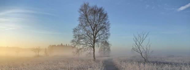 Der Winter kommt mit großen Schritten © VDN-Fotoportal - Christel Baude