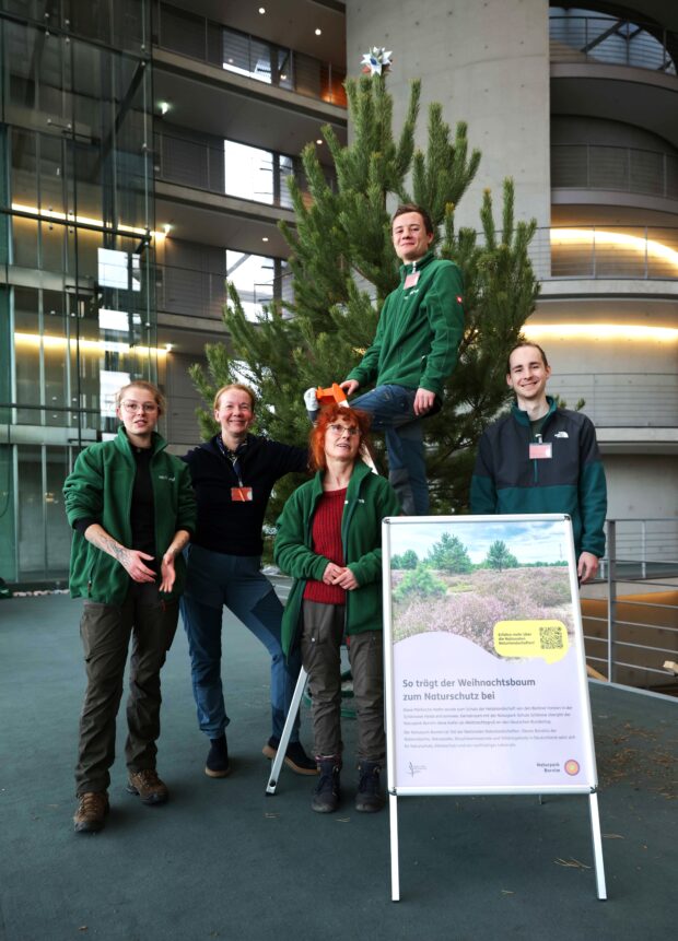 Das Team des Naturpark Barnim vor dem Weihnachtsbaum im Bundestag, davor ein Aufsteller mit Informationen zum Baum. © Naturpark Barnim/Hans-Dieter Hartwig