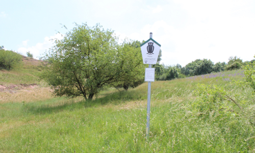 Erlebnistipp Naturschutzgebiet Porphyrlandschaft bei Gimritz B Erlebnistipp Naturschutzgebiet Porphyrlandschaft bei Gimritz B Naturlehrpfad Porphyrlandschaft Wettin/ Gimritz