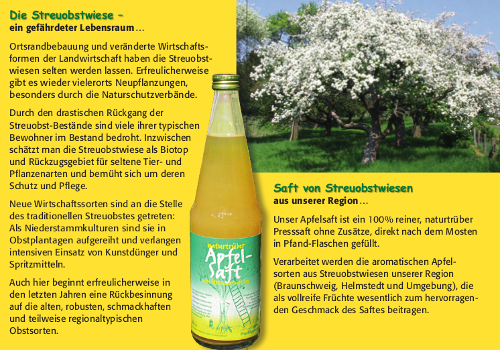 Heißer Apfelsaft – alkoholfrei mit feiner Zimtnote