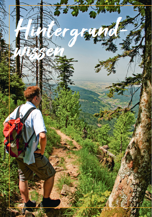Foto aus dem Innenteil von Endlich Wildnis Bayern.